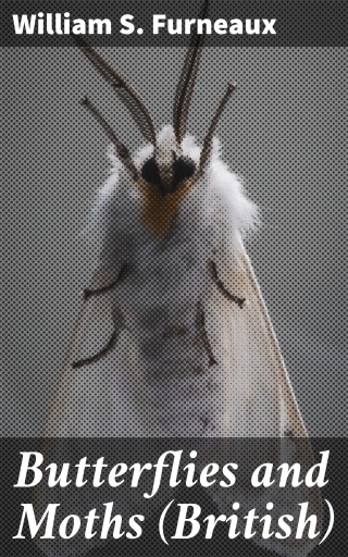 Butterflies and Moths (British)