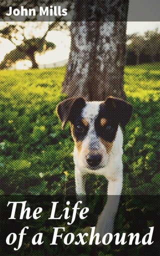 The Life of a Foxhound