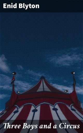 Three Boys and a Circus