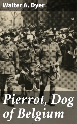 Pierrot, Dog of Belgium