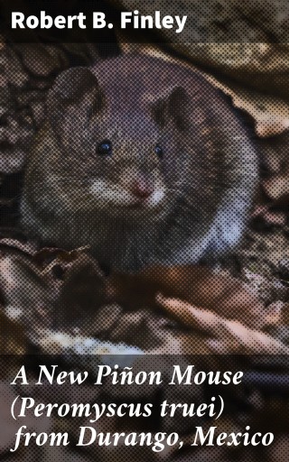 A New Piñon Mouse (Peromyscus truei) from Durango, Mexico