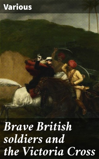 Brave British soldiers and the Victoria Cross