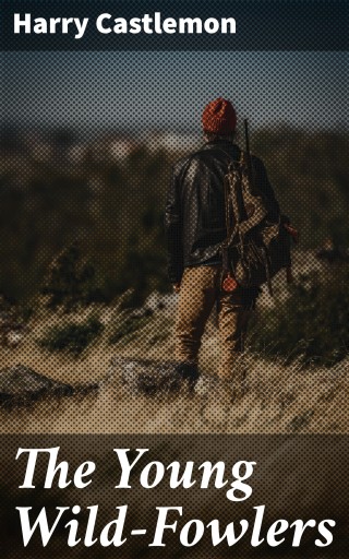 The Young Wild-Fowlers