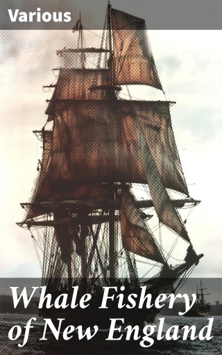Whale Fishery of New England