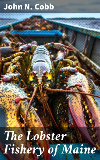 The Lobster Fishery of Maine
