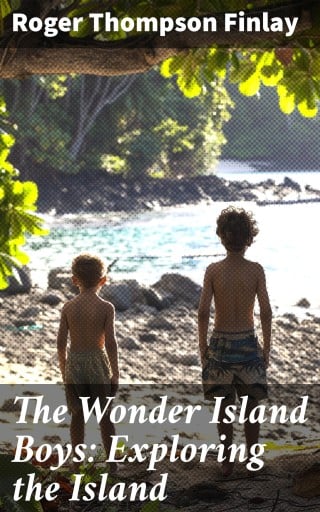 The Wonder Island Boys: Exploring the Island
