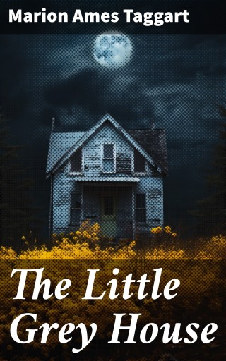 The Little Grey House