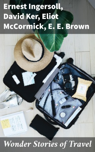 Wonder Stories of Travel