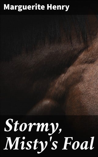 Stormy, Misty's Foal