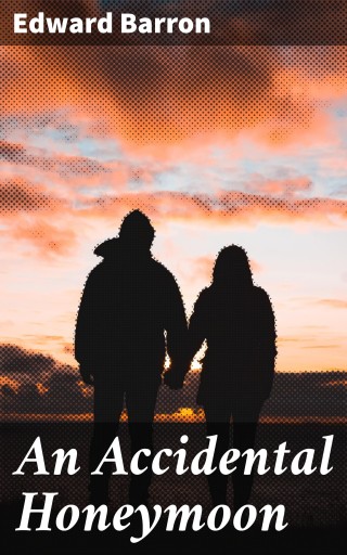 An Accidental Honeymoon