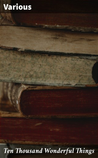 Ten Thousand Wonderful Things