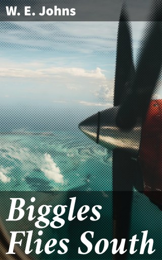 Biggles Flies South