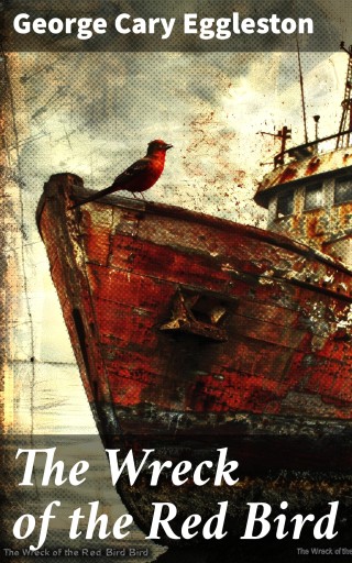The Wreck of the Red Bird