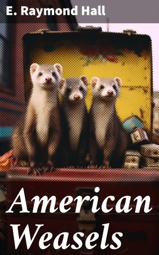 American Weasels