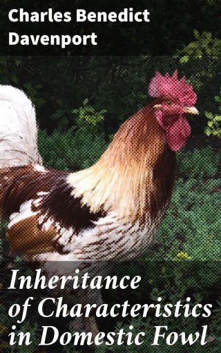 Inheritance of Characteristics in Domestic Fowl
