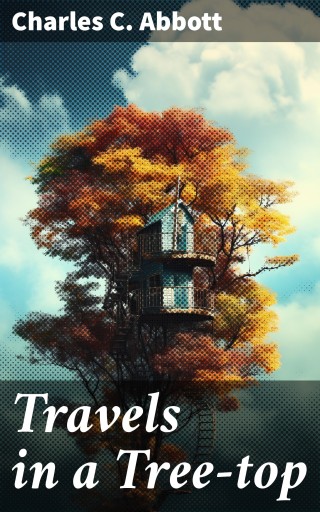 Travels in a Tree-top