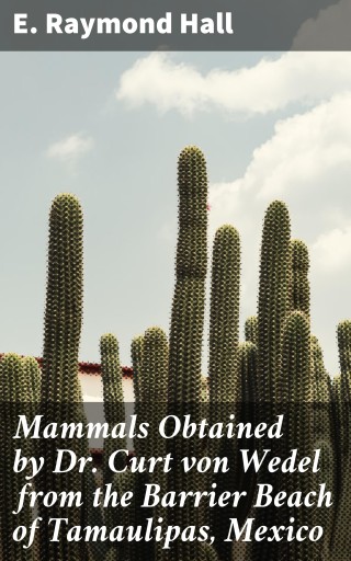 Mammals Obtained by Dr. Curt von Wedel from the Barrier Beach of Tamaulipas, Mexico