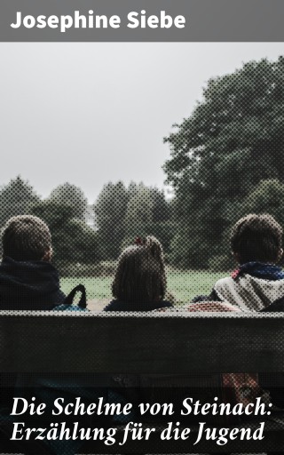 Die Schelme von Steinach: Erzählung für die Jugend
