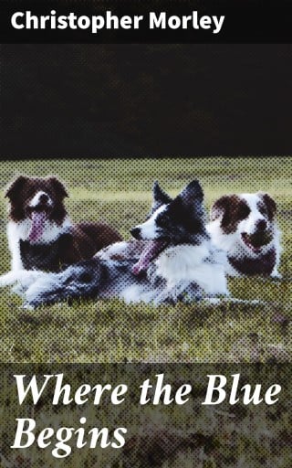 Where the Blue Begins