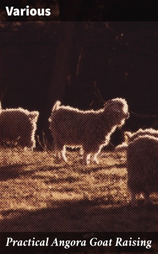 Practical Angora Goat Raising