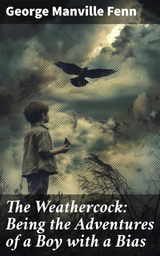 The Weathercock: Being the Adventures of a Boy with a Bias