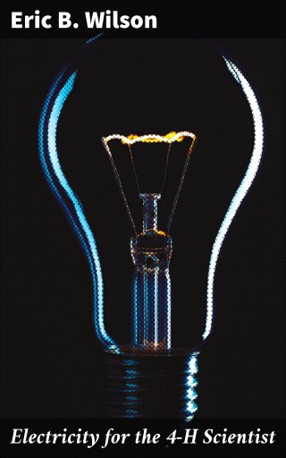 Electricity for the 4-H Scientist