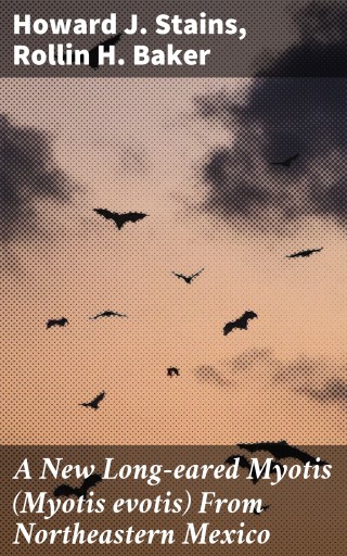 A New Long-eared Myotis (Myotis evotis) From Northeastern Mexico