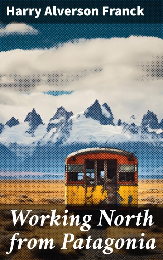 Working North from Patagonia