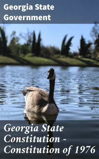 Georgia State Constitution — Constitution of 1976