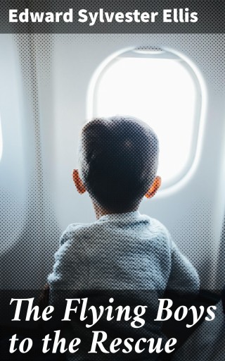 The Flying Boys to the Rescue