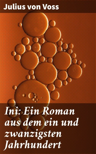 Portada del libro «Ini: Ein Roman aus dem ein und zwanzigsten Jahrhundert», de Julius von Voss