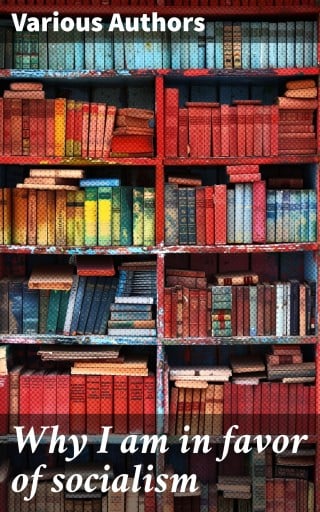 Why I am in favor of socialism