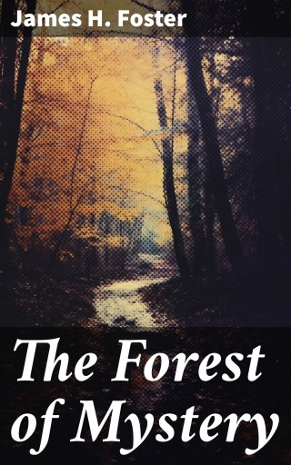 The Forest of Mystery
