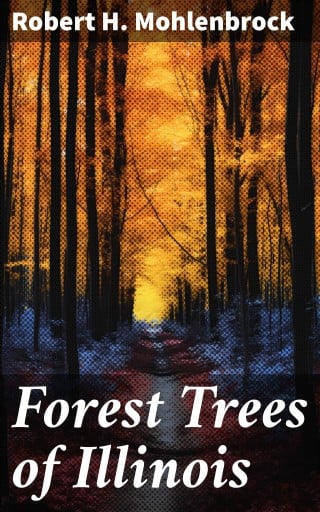 Forest Trees of Illinois