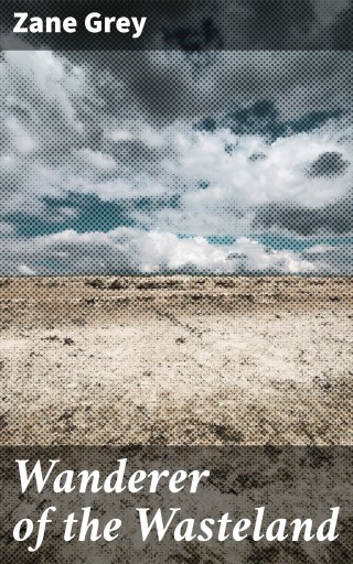 Wanderer of the Wasteland