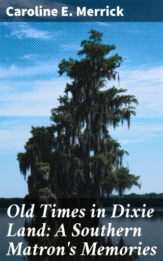 Old Times in Dixie Land: A Southern Matron's Memories