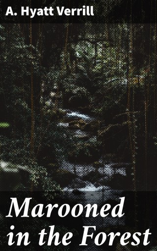 Marooned in the Forest