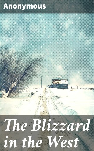 The Blizzard in the West