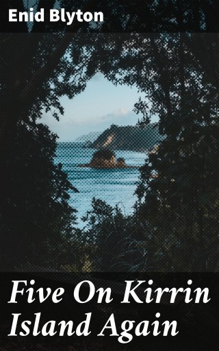 Five On Kirrin Island Again