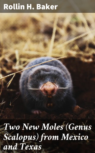 Two New Moles (Genus Scalopus) from Mexico and Texas