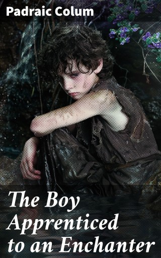 The Boy Apprenticed to an Enchanter