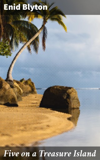 Five on a Treasure Island