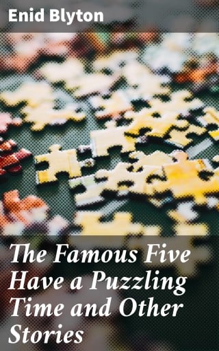 The Famous Five Have a Puzzling Time and Other Stories