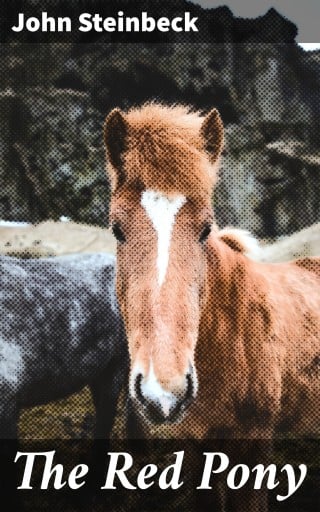 The Red Pony