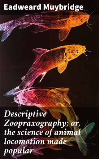Descriptive Zoopraxography; or, the science of animal locomotion made popular