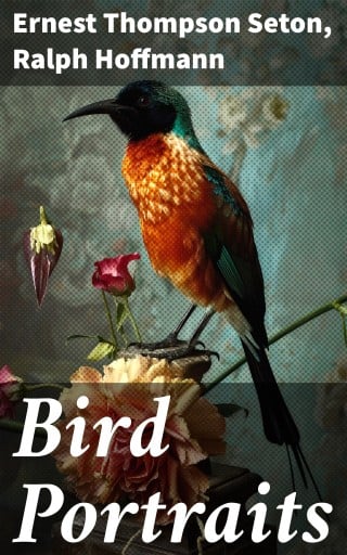 Bird Portraits