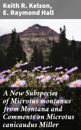 A New Subspecies of Microtus montanus from Montana and Comments on Microtus canicaudus Miller