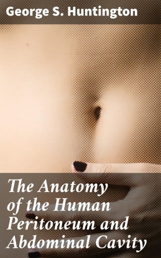 The Anatomy of the Human Peritoneum and Abdominal Cavity