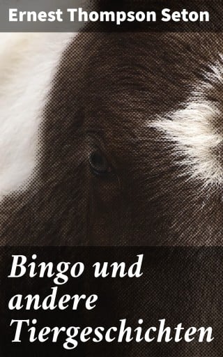 Bingo und andere Tiergeschichten