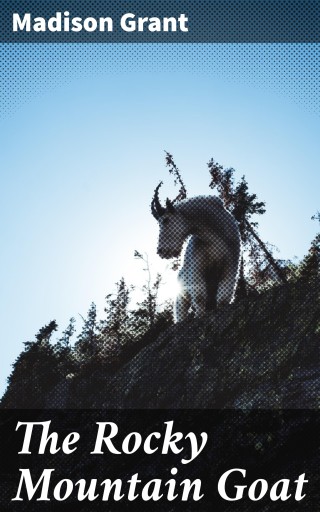 The Rocky Mountain Goat